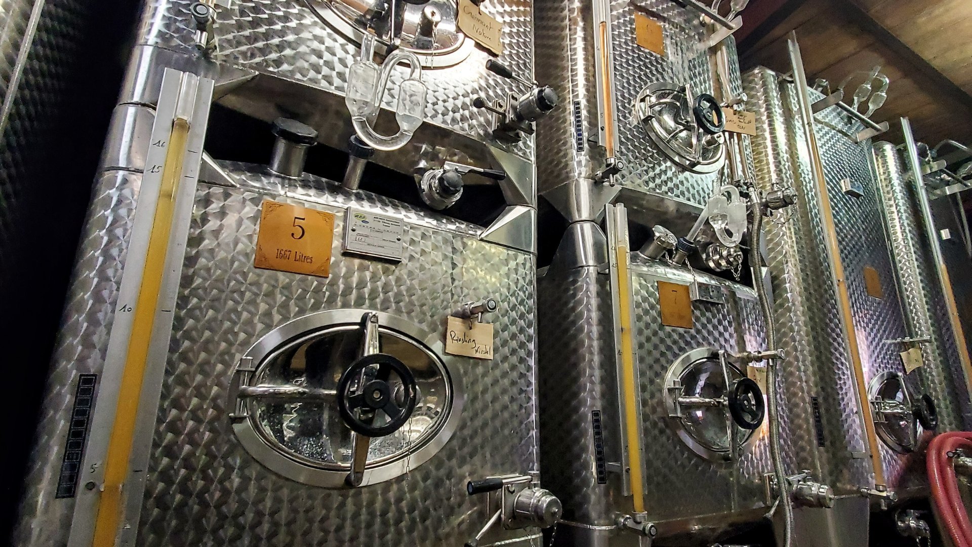 Intérieur cave - Coffret cadeau visite de cave en Alsace