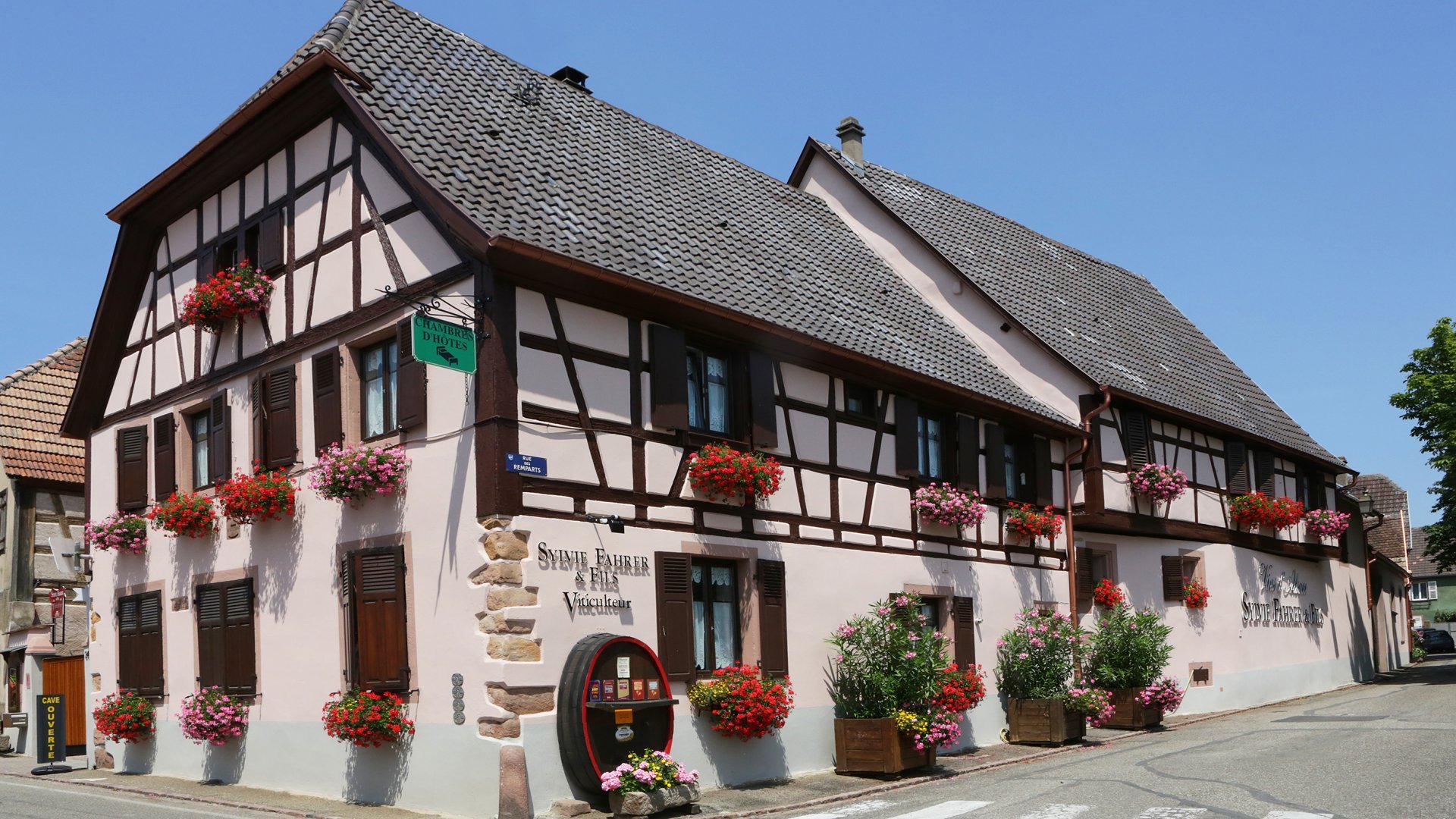 Bons cadeaux autour du vin en Alsace - Séjours et activités