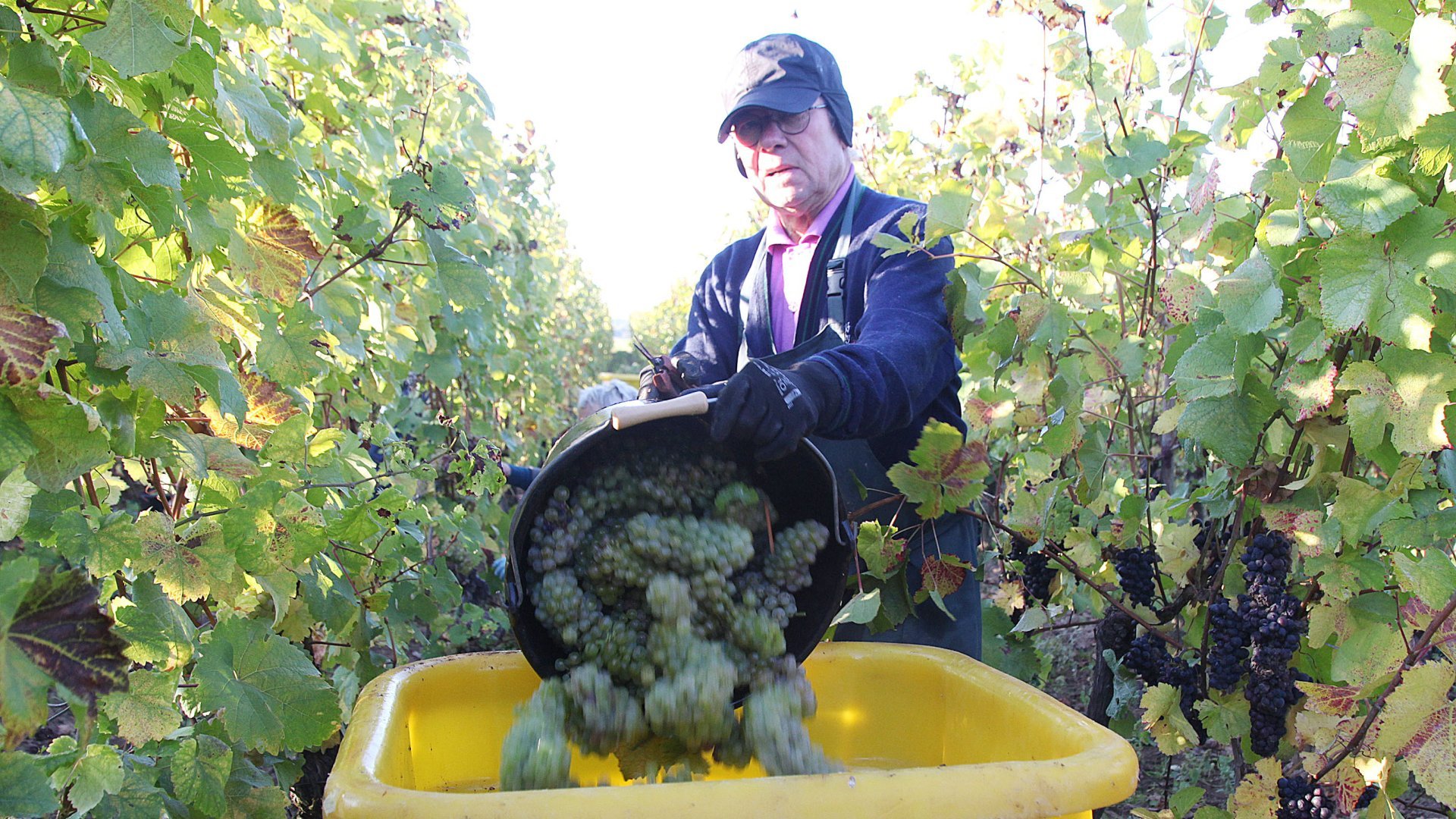 Offrir un bon cadeau pour un week-end en couple en Alsace