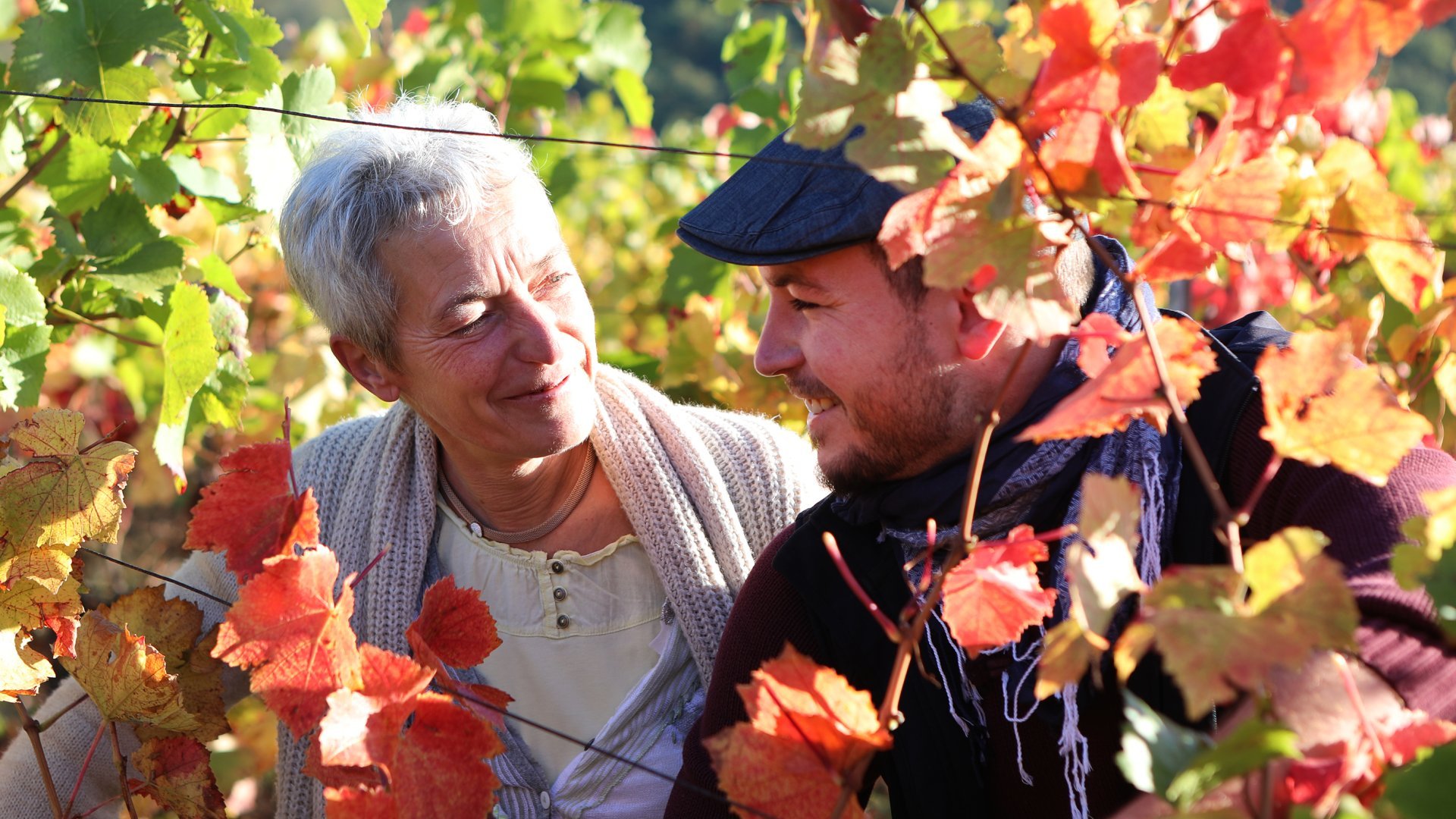 Offrir un bon cadeau pour une activité dans un domaine viticole en Alsace - Idée cadeau couple
